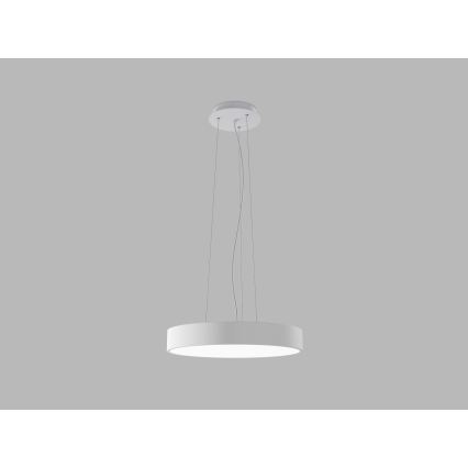 LED2 - LED люстра на кабел MONO SLIM LED/30W/230V 3000K/4000K Ø 40 см бяла