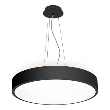 LED2 - LED полилей на кабел ROTO LED/48W/230V 2700K/3300K/4000K IP40 черен пр. 40 см