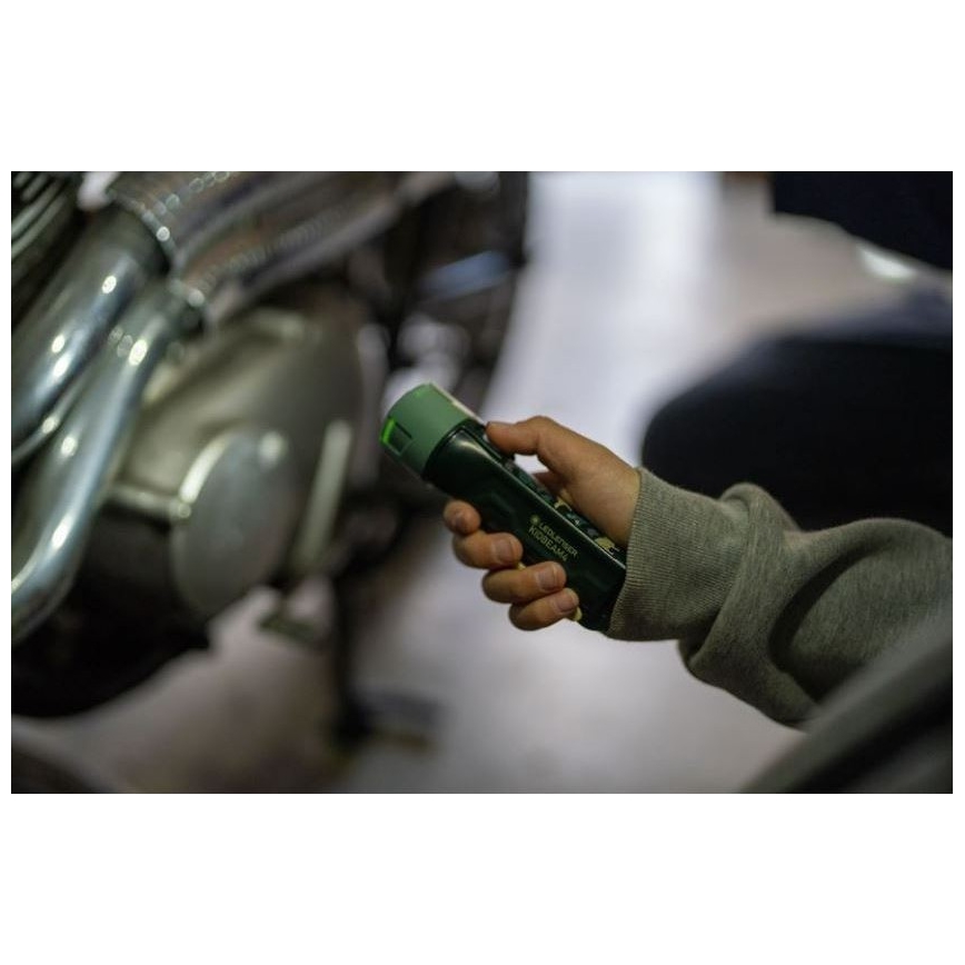 Ledlenser KIDBEAM4 DINO - LED детско фенерче с регулируема яркост LED/2xAAA IP44 зелено