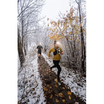 Ledlenser NEO5R - презареждаема челна лампа с регулируема яркост LED/1800 mAh IP54 600 lm 35 ч черна/бяла