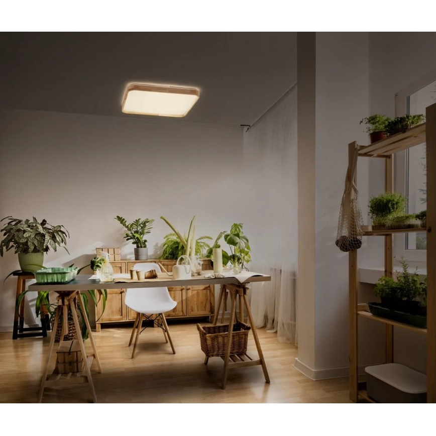 Ledvance - Димируемо LED таванно осветително тяло ORBIS LED/16W/230V 3000K 29x29 cm