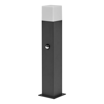 Ledvance - Екстериорна лампа със сензор FIGO SQUARE 1xE27/20W/230V IP44