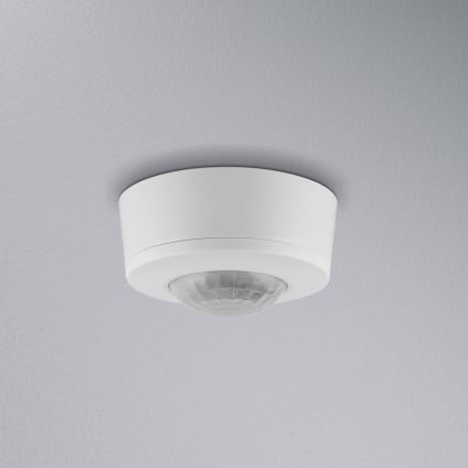 Ledvance - Инфрачервен сензор за движение 230V IP44 бял