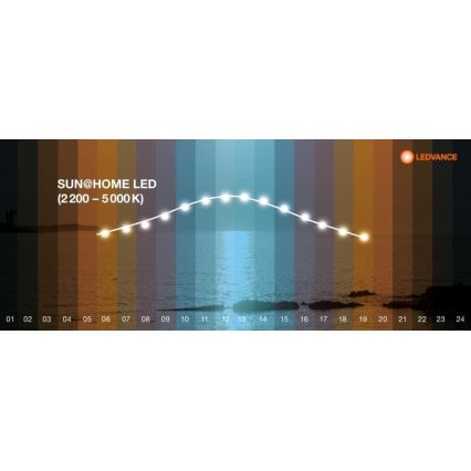Ledvance - LED Димируем лампион SUN@HOME LED/36W/230V 2200-5000K CRI 95 Wi-Fi