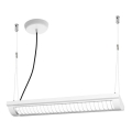 Ledvance - LED Димируем висящ полилей OFFICE LINE 2xLED/12,5W/230V