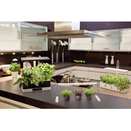 Ledvance - LED Димируема интериорна лампа за растения GARDEN KIT LED/24W/230V