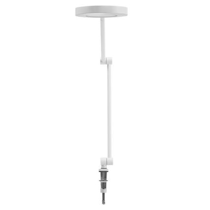 Ledvance - LED Димируема лампа с щипка SUN@HOME LED/15W/230V 2200-5000K CRI 95 Wi-Fi