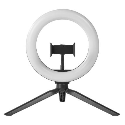 Ledvance - LED Димируема настолна лампа със стойка и държач за влогване LED/5,5W/USB 3000/4000/6500K