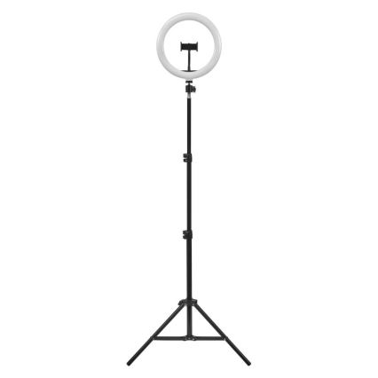 Ledvance - LED Димируем лампион със стойка и държач за влогване LED/6W/USB 3000/4000/6500K