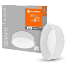 Ledvance - LED Димируема таванна светлина SMART + CYLINDER LED / 24W / 230V