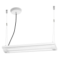 Ledvance - LED Димируема висяща лампа OFFICE LINE 2xLED/12,5W/230V
