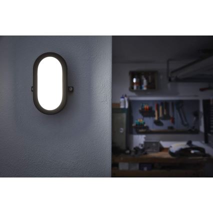 Ledvance - LED Екстериорен аплик BULKHEAD LED/11W/230V IP54 черен