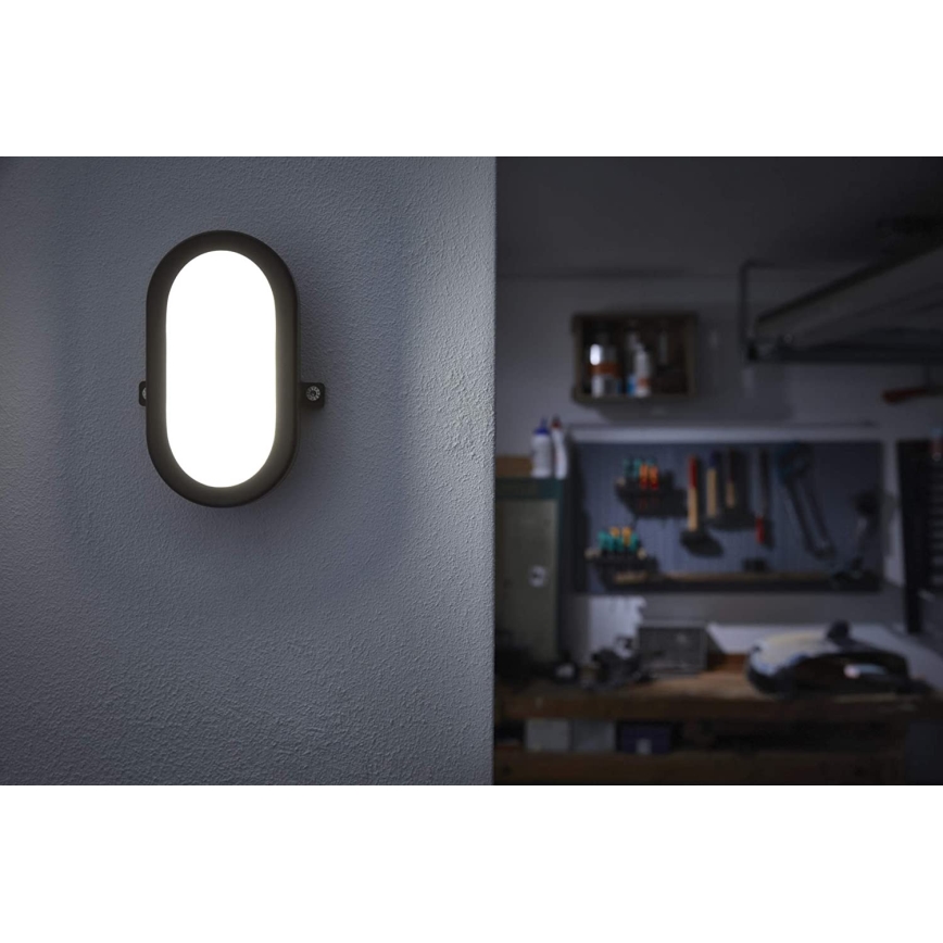 Ledvance - LED Екстериорен аплик BULKHEAD LED/6W/230V IP54 черен