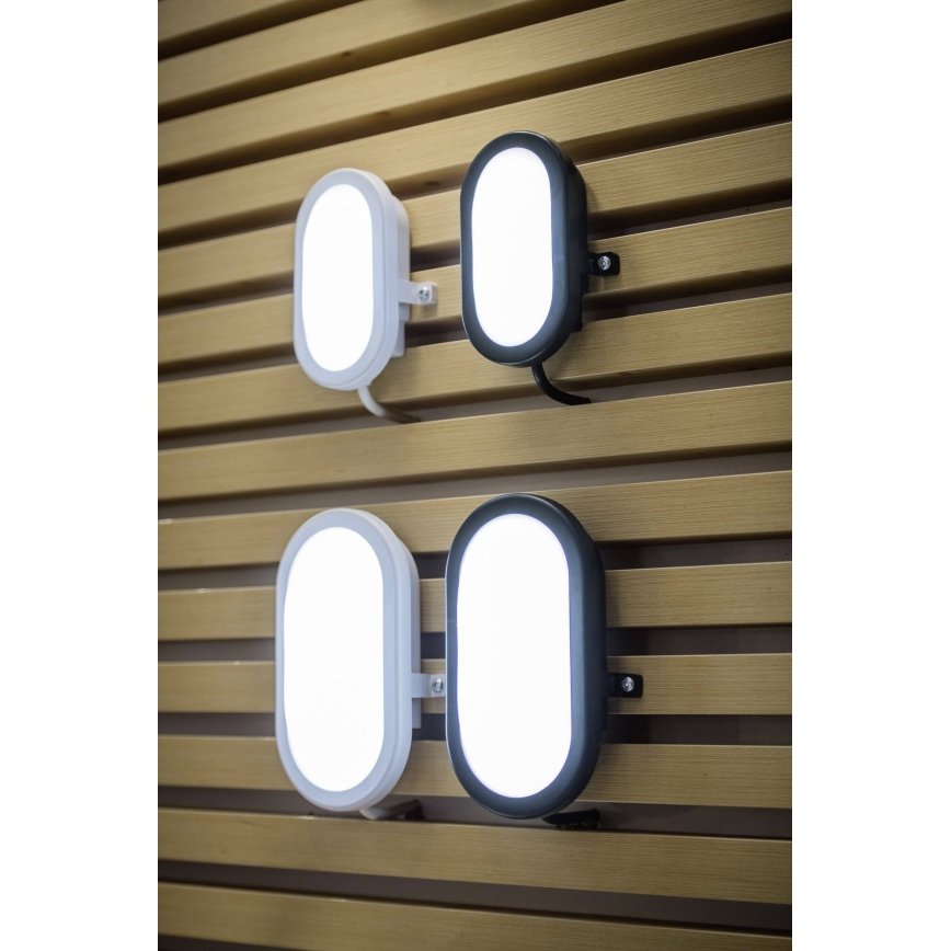Ledvance - LED Екстериорен аплик BULKHEAD LED/6W/230V IP54 черен