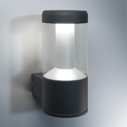 Ledvance - LED Екстериорен аплик LANTERN 1xLED/12W/230V IP44