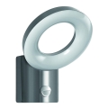Ledvance - LED Екстериорен аплик със сензор LOOP 1xLED/12W/230V IP44