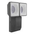 Ledvance - LED Екстериорен аплик със сензор SPOT 2xLED/8W/230V IP55
