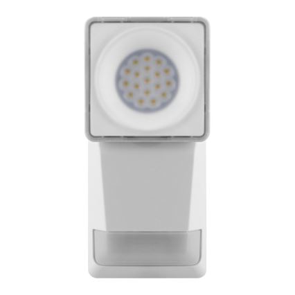 Ledvance - LED Екстериорен аплик със сензор SPOT LED/8W/230V IP55 бял