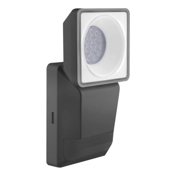 Ledvance -LED Екстериорен аплик със сензор SPOT LED/8W/230V IP55 черен