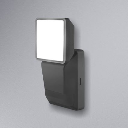 Ledvance -LED Екстериорен аплик със сензор SPOT LED/8W/230V IP55 черен