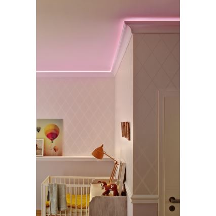 Ledvance - LED Екстериорна лента FLEX 3м LED/19W/230V IP44