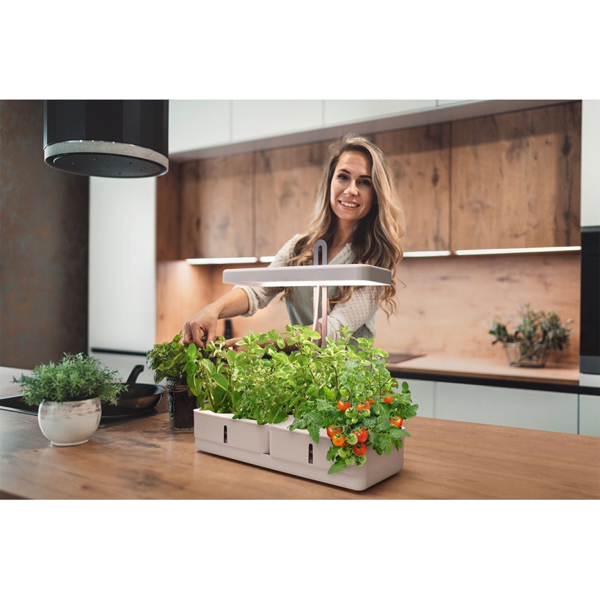 Ledvance - LED Интериорна лампа за растения GARDEN KIT LED/24W/230V