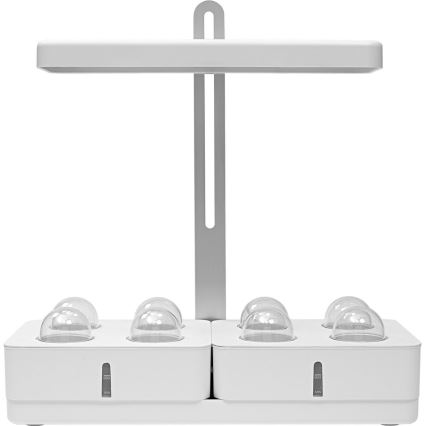 Ledvance - LED Интериорна лампа за растения GARDEN KIT LED/24W/230V