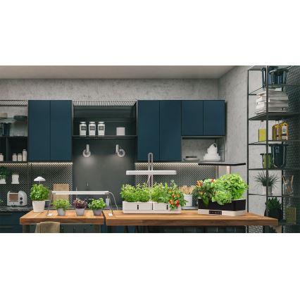 Ledvance - LED Интериорна лампа за растения GARDEN KIT LED/24W/230V