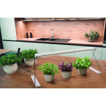 Ledvance - LED Интериорна лампа за растения GARDEN LIGHT LED/14W/230V