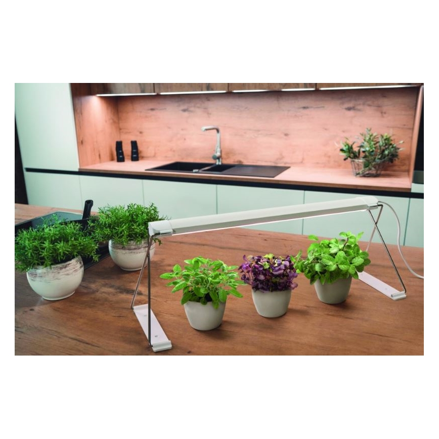 Ledvance - LED Интериорна лампа за растения GARDEN LIGHT LED/14W/230V