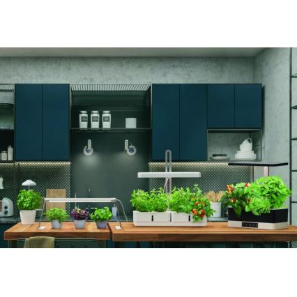 Ledvance - LED Интериорна лампа за растения GARDEN LIGHT LED/14W/230V