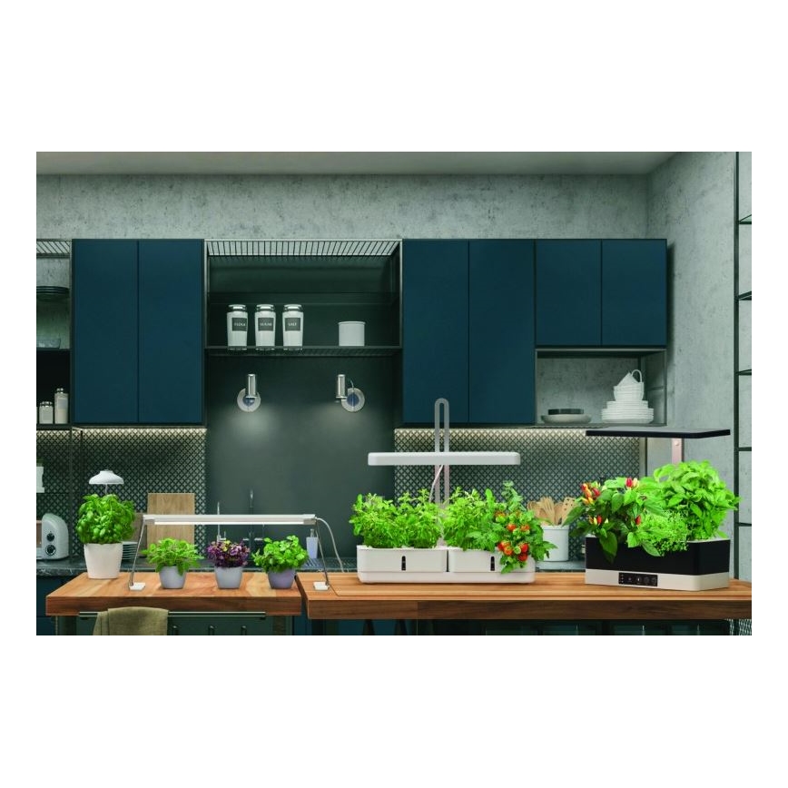Ledvance - LED Интериорна лампа за растения GARDEN LIGHT LED/14W/230V