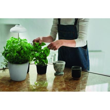 Ledvance - LED Интериорна лампа за растения GARDEN LIGHT LED/5W/5V