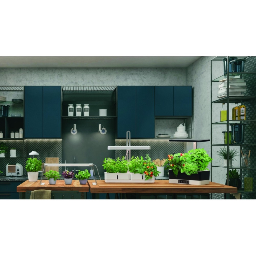 Ledvance - LED Интериорна лампа за растения GARDEN LIGHT LED/5W/5V