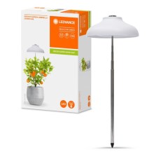 Ledvance - LED Интериорна лампа за растения GARDEN LIGHT LED/5W/5V