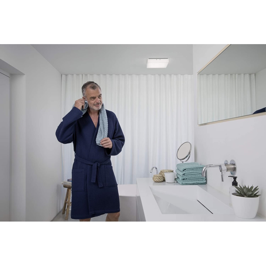 Ledvance - LED Плафон LUNIVE LED/19W/230V