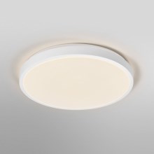 Ledvance - LED Плафониера ORBIS LONDON LED/36W/230V бял