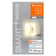 Ledvance - LED Смарт контакт с димируемо осветление SMART+ PLUG 3680W Wi-Fi