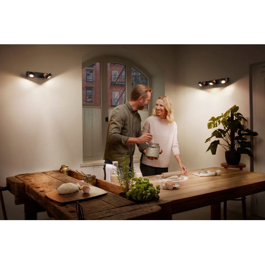 Ledvance - LED Спот DECOR PLUTO 2xLED/4,8W/230V