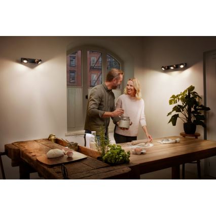 Ledvance - LED Спот DECOR PLUTO 3xLED/4,8W/230V