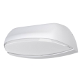 Ledvance - LED Външна, настенна лампа ENDURA LED/12W/230V IP44