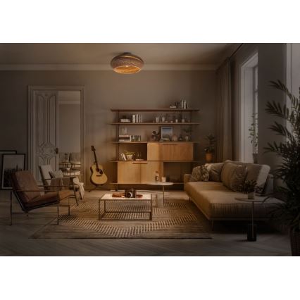 Ledvance - Плафон DECOR CARDBOARD 1xE27/15W/230V Ø 40 см