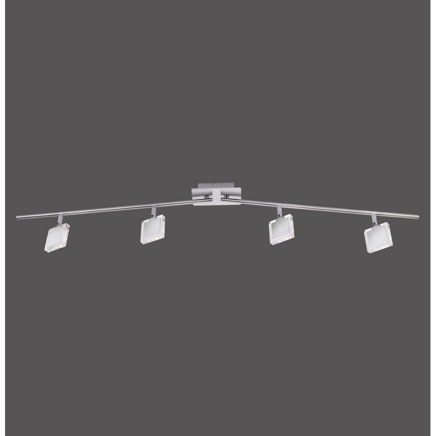 Leuchten Direkt 11084-55 - LED Точково осветително тяло TONY 4xLED/4W/230V