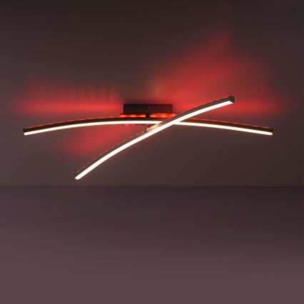 Leuchten Direkt 11255-55 - LED RGB Димируем повърхностен полилей ALINA 2xLED/8,1W/230V 2700-5000K + дистанционно