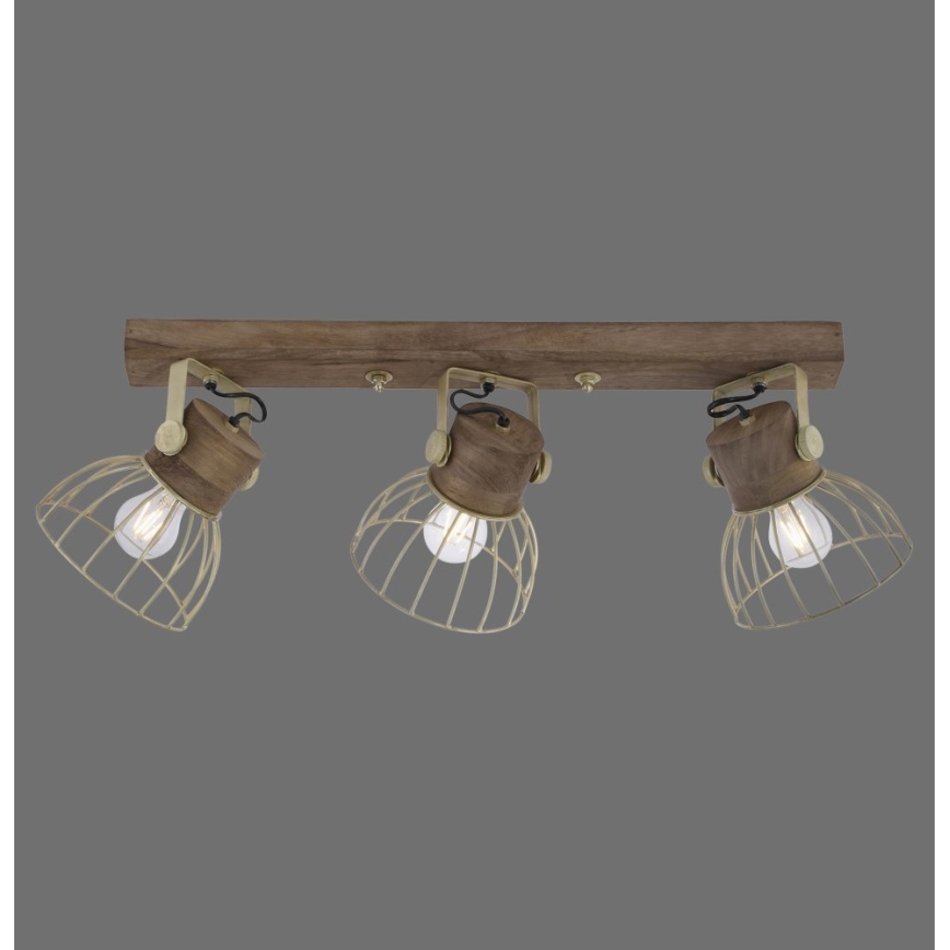 Leuchten Direkt 11488-60 - Спот ALAMI 3xE27/25W/230V манго