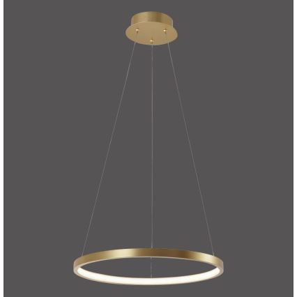 Leuchten Direkt 11522-12 - LED Полилей висящ на кабел CIRCLE LED/19W/230V