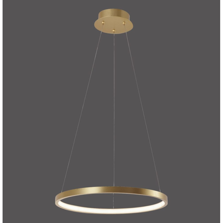Leuchten Direkt 11522-12 - LED Полилей висящ на кабел CIRCLE LED/19W/230V