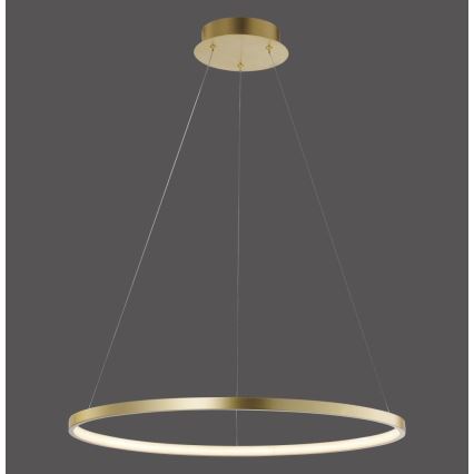 Leuchten Direkt 11524-12 - LED Полилей висящ на кабел CIRCLE LED/28,5W/230V