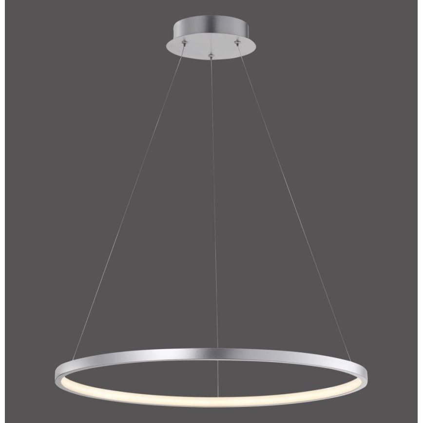Leuchten Direkt 11524-21 - LED Полилей на верижка CIRCLE LED/28,5W/230V