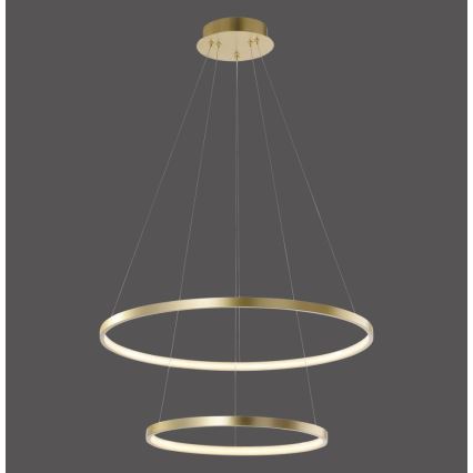 Leuchten Direkt 11525-12 -LED Полилей на верижка CIRCLE 1xLED/18,5W/230V + LED/23,5W